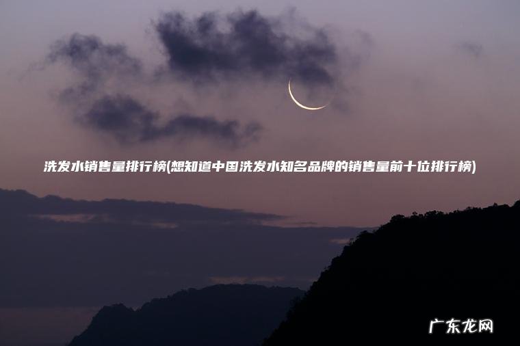 洗发水销售量排行榜(想知道中国洗发水知名品牌的销售量前十位排行榜)