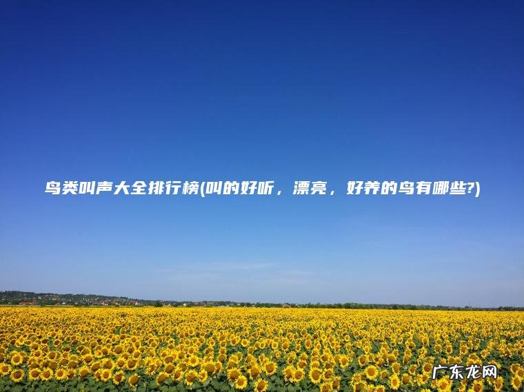 鸟类叫声大全排行榜(叫的好听， 漂亮， 好养的鸟有哪些?)