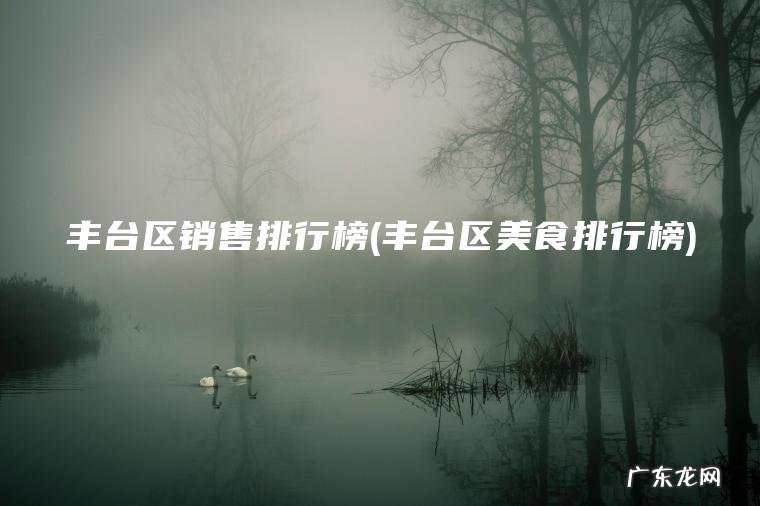 丰台区销售排行榜(丰台区美食排行榜)