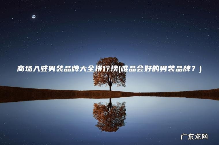商场入驻男装品牌大全排行榜(唯品会好的男装品牌？)