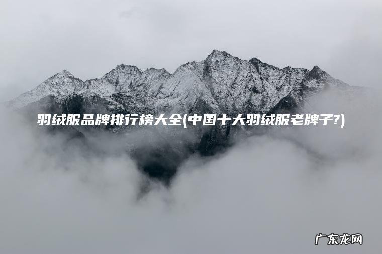 中国十大羽绒服老牌子? 羽绒服品牌排行榜大全