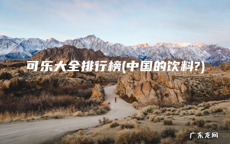 可乐大全排行榜(中国的饮料?)