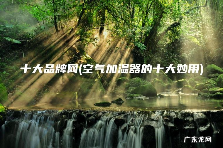 十大品牌网(空气加湿器的十大妙用)