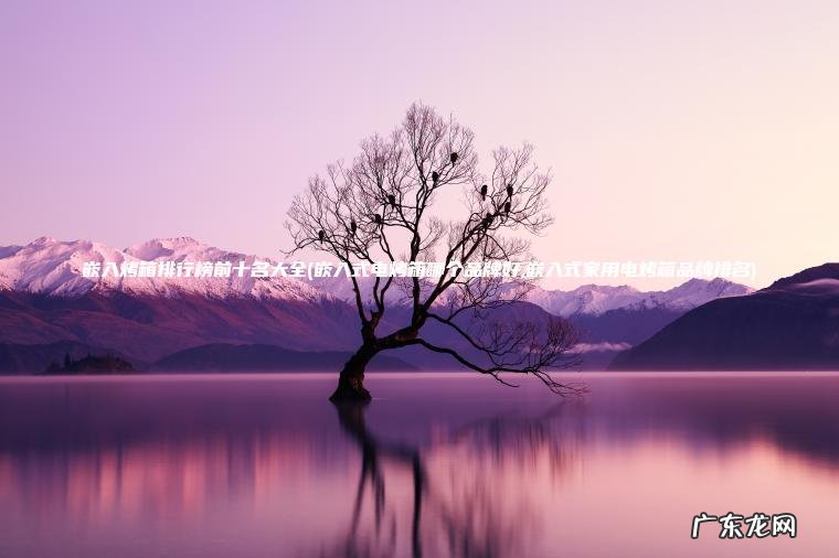 嵌入烤箱排行榜前十名大全(嵌入式电烤箱哪个品牌好,嵌入式家用电烤箱品牌排名)