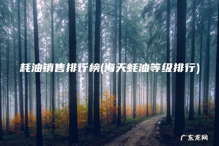 耗油销售排行榜(海天蚝油等级排行)