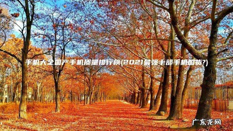 2021最强十部手机国货? 手机大全国产手机质量排行榜