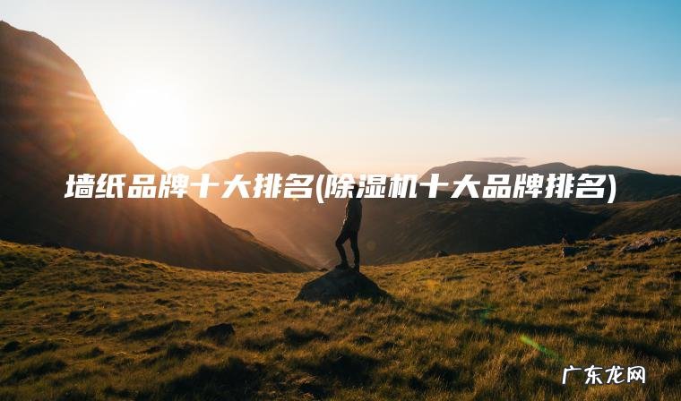 墙纸品牌十大排名(除湿机十大品牌排名)