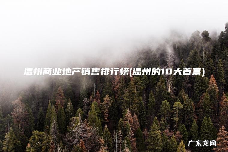 温州的10大首富 温州商业地产销售排行榜