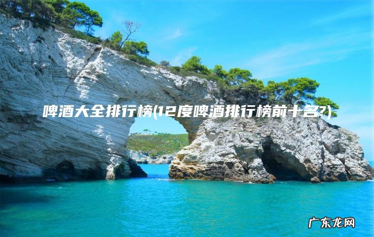 啤酒大全排行榜(12度啤酒排行榜前十名?)