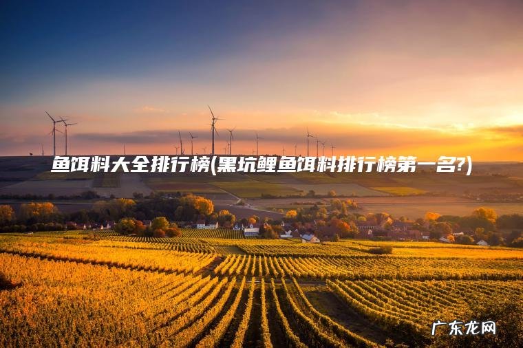 鱼饵料大全排行榜(黑坑鲤鱼饵料排行榜第一名?)
