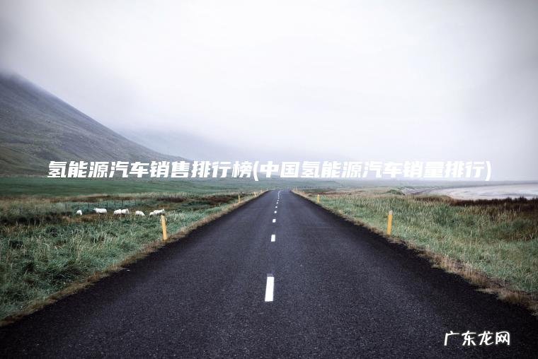 氢能源汽车销售排行榜(中国氢能源汽车销量排行)