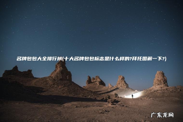 名牌包包大全排行榜(十大名牌包包标志是什么样的?拜托图解一下?)