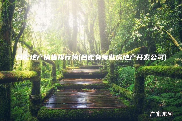 合肥有哪些房地产开发公司 合肥地产销售排行榜