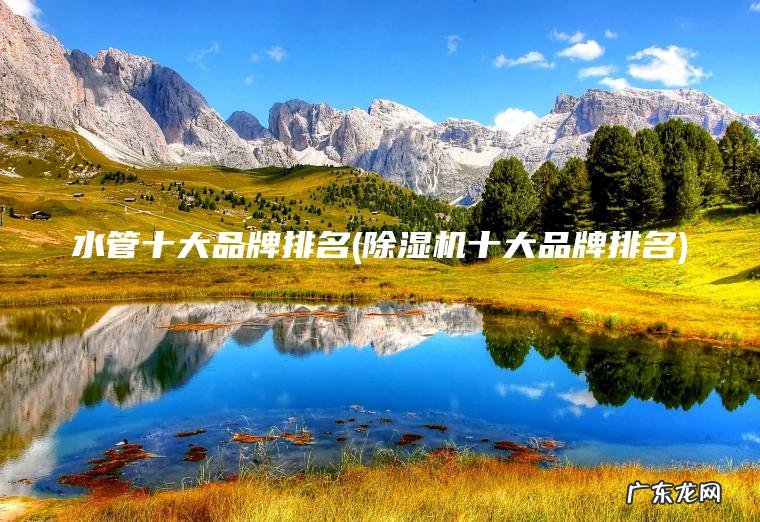 水管十大品牌排名(除湿机十大品牌排名)