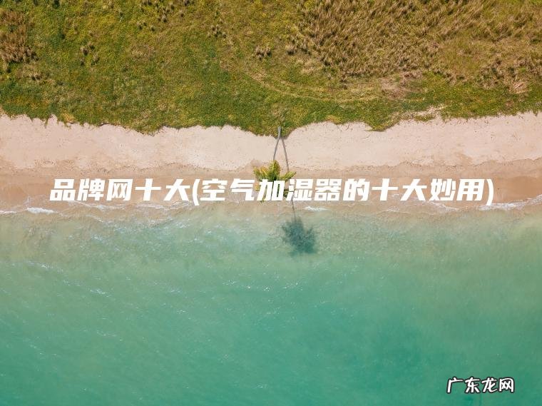 品牌网十大(空气加湿器的十大妙用)