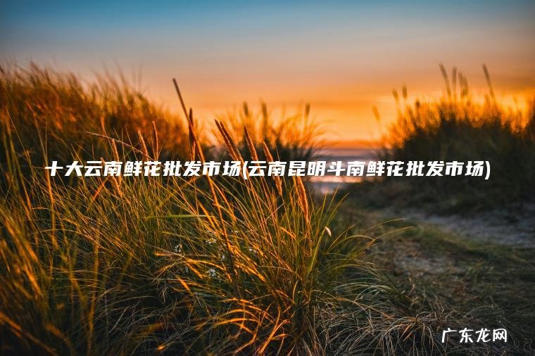 十大云南鲜花批发市场(云南昆明斗南鲜花批发市场)