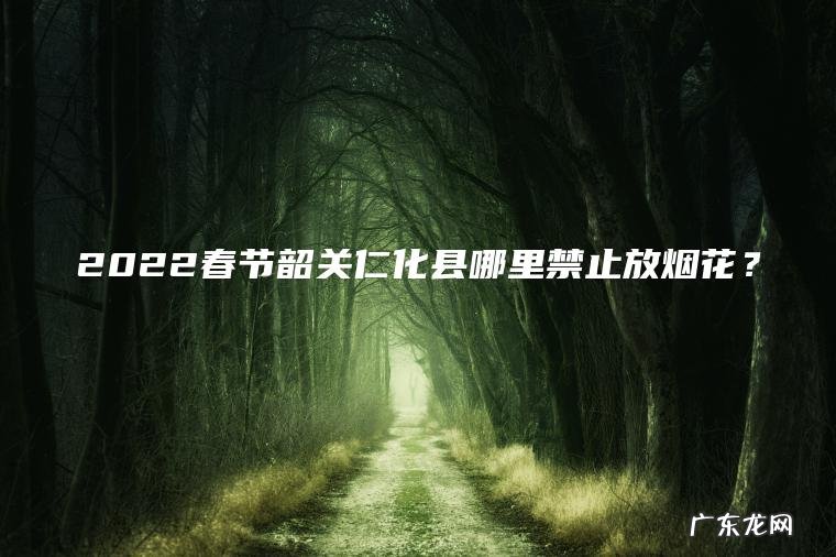 2022春节韶关仁化县哪里禁止放烟花？