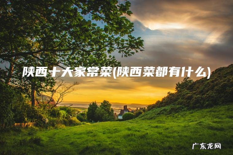 陕西十大家常菜(陕西菜都有什么)
