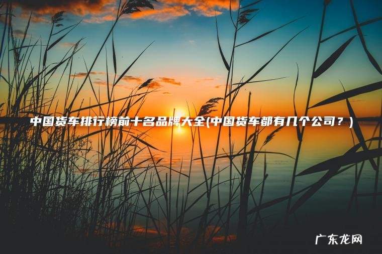 中国货车都有几个公司？ 中国货车排行榜前十名品牌大全