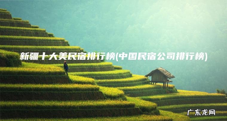新疆十大美民宿排行榜(中国民宿公司排行榜)