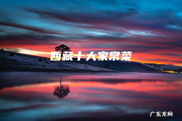 西藏十大家常菜