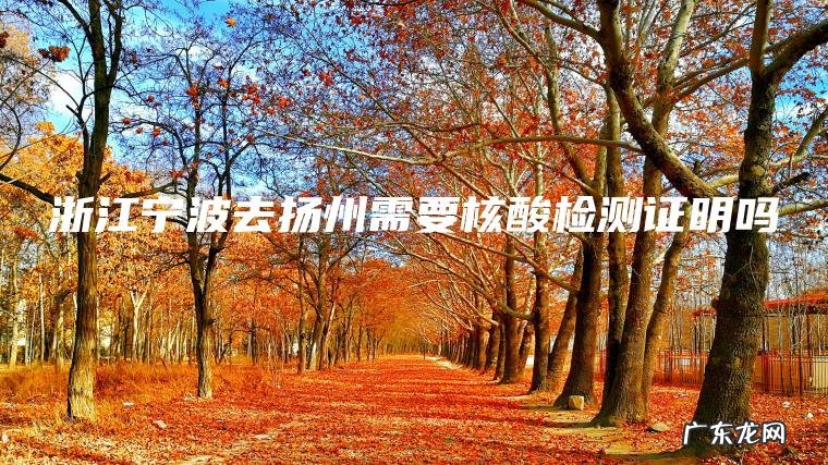 浙江宁波去扬州需要核酸检测证明吗