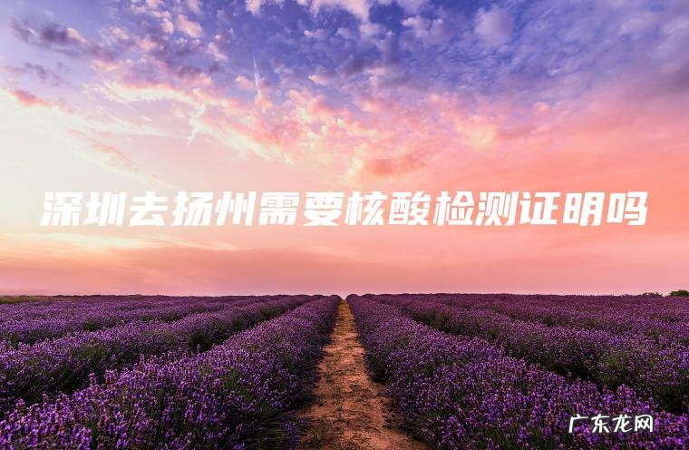 深圳去扬州需要核酸检测证明吗