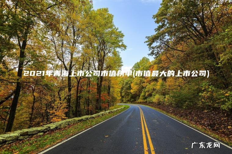 市值最大的上市公司 2021年青海上市公司市值榜单