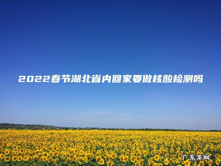 2022春节湖北省内回家要做核酸检测吗