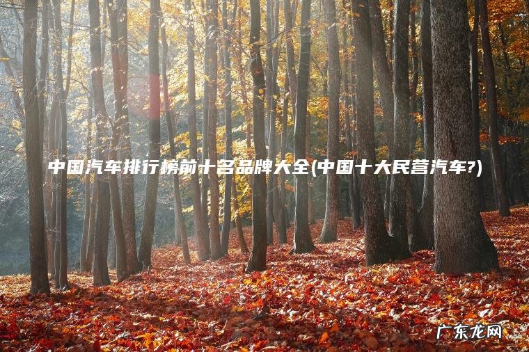 中国汽车排行榜前十名品牌大全(中国十大民营汽车?)
