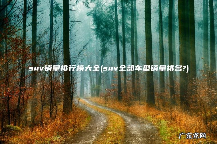 suv销量排行榜大全(suv全部车型销量排名?)