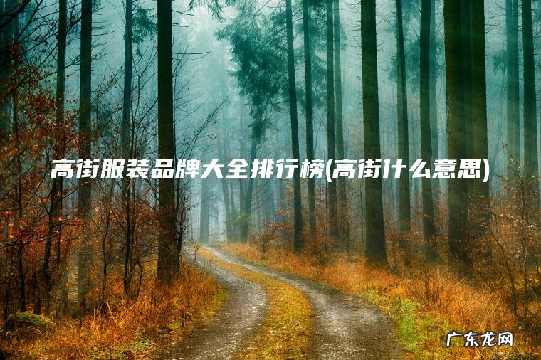 高街服装品牌大全排行榜(高街什么意思)