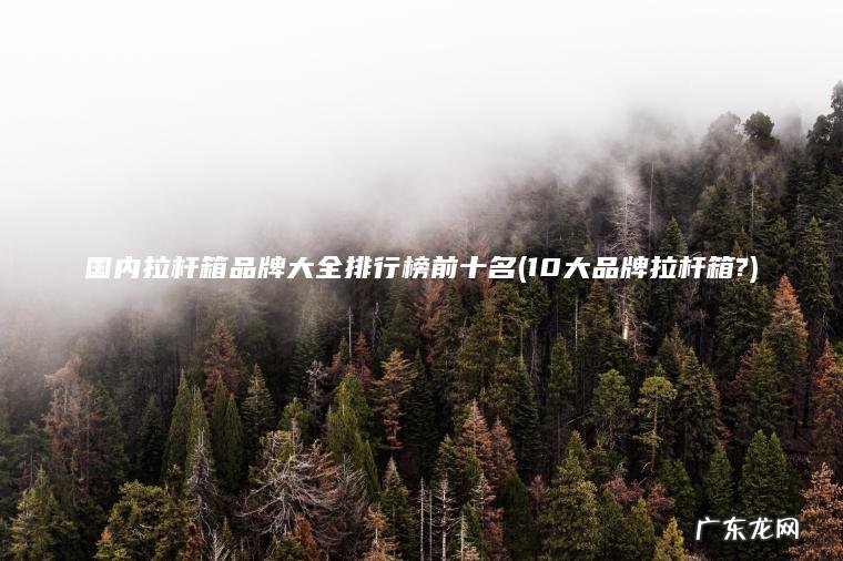 国内拉杆箱品牌大全排行榜前十名(10大品牌拉杆箱?)