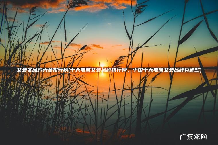 女装冬品牌大全排行榜(十大电商女装品牌排行榜 ， 中国十大电商女装品牌有哪些)