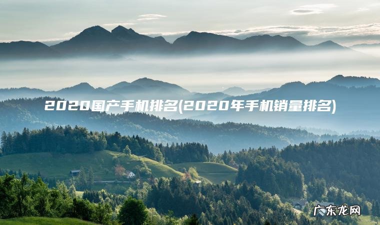 2020国产手机排名(2020年手机销量排名)