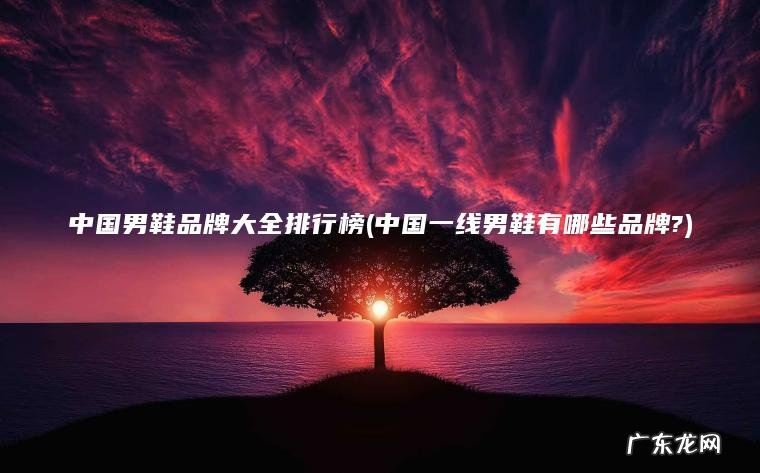 中国男鞋品牌大全排行榜(中国一线男鞋有哪些品牌?)