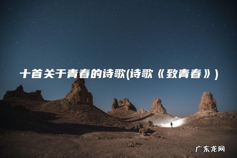 十首关于青春的诗歌(诗歌《致青春》)