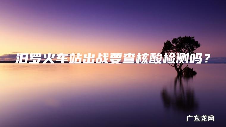 汨罗火车站出战要查核酸检测吗？