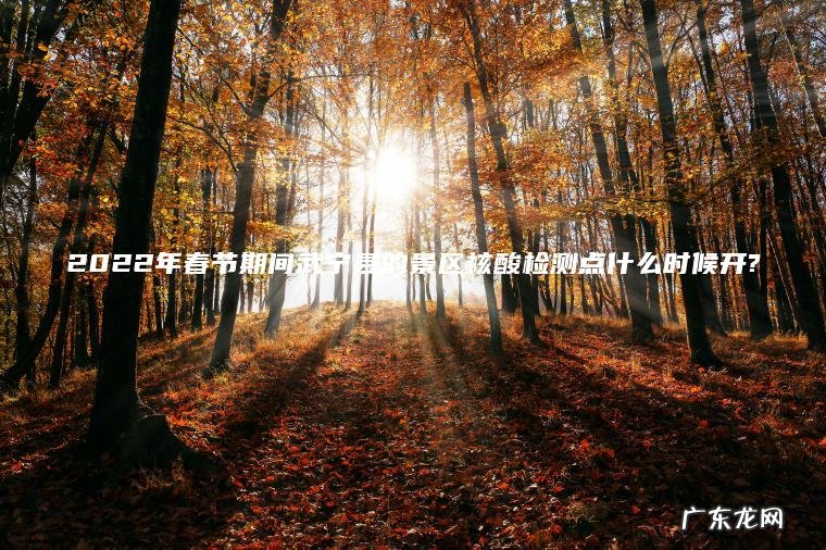 2022年春节期间武宁县的景区核酸检测点什么时候开?