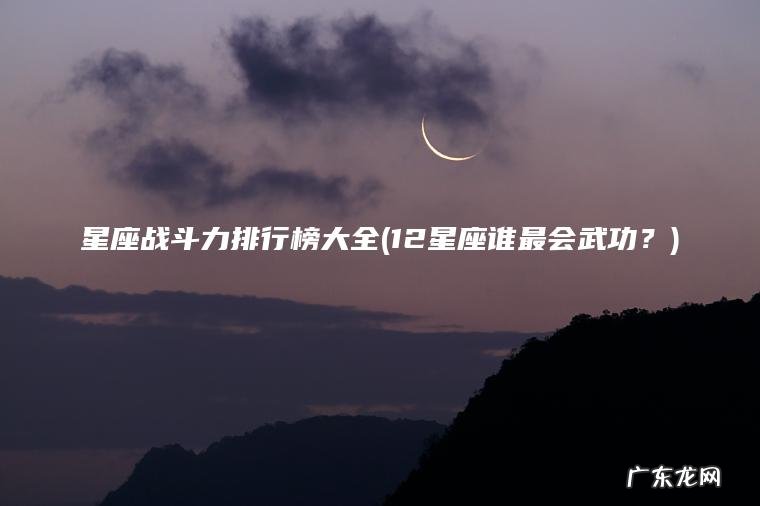星座战斗力排行榜大全(12星座谁最会武功？)