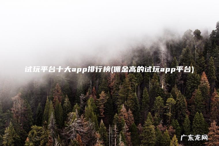 试玩平台十大app排行榜(佣金高的试玩app平台)