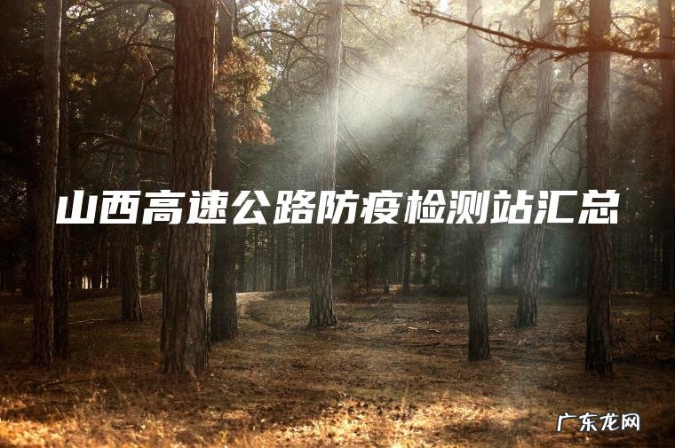 山西高速公路防疫检测站汇总