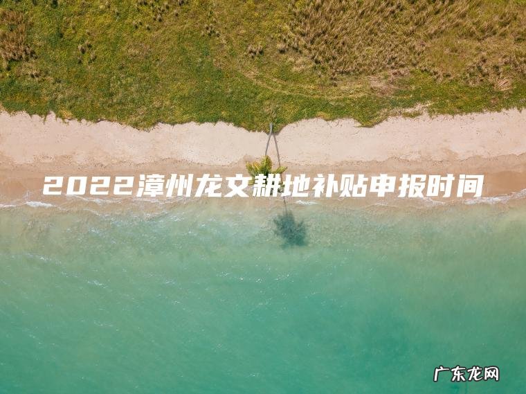 2022漳州龙文耕地补贴申报时间