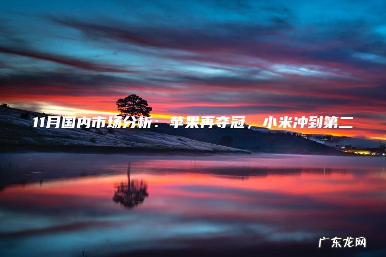 11月国内市场分析：苹果再夺冠 ， 小米冲到第二