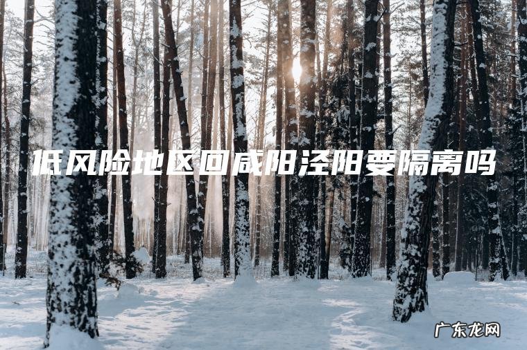 低风险地区回咸阳泾阳要隔离吗