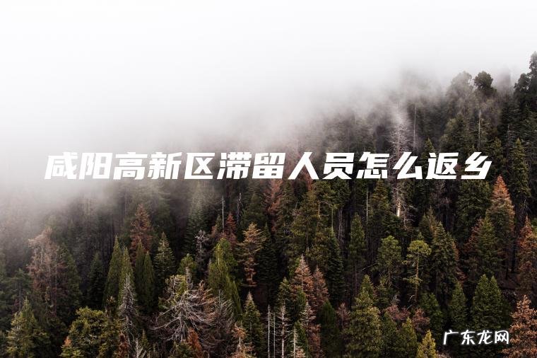 咸阳高新区滞留人员怎么返乡