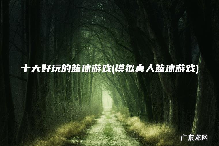 十大好玩的篮球游戏(模拟真人篮球游戏)