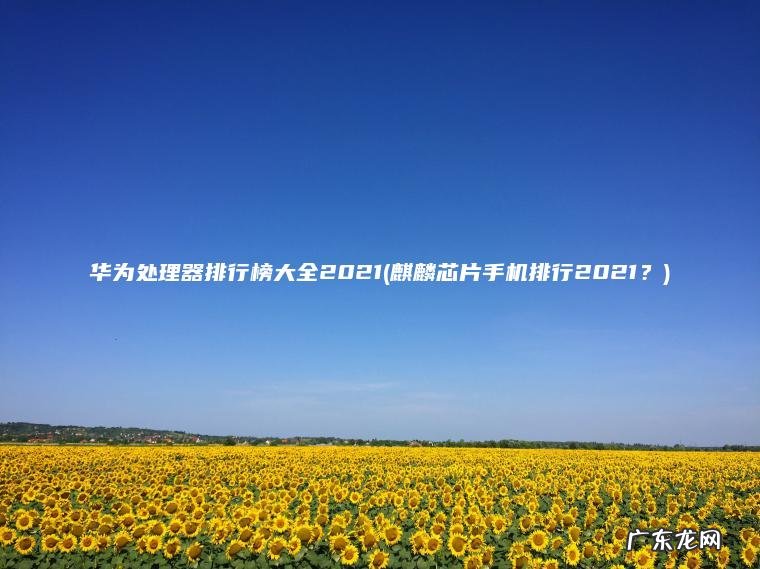 华为处理器排行榜大全2021(麒麟芯片手机排行2021？)