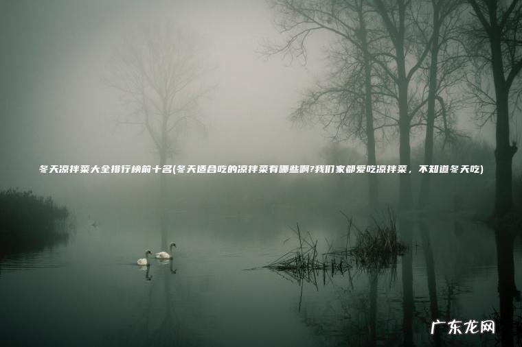 冬天凉拌菜大全排行榜前十名(冬天适合吃的凉拌菜有哪些啊?我们家都爱吃凉拌菜 ， 不知道冬天吃)