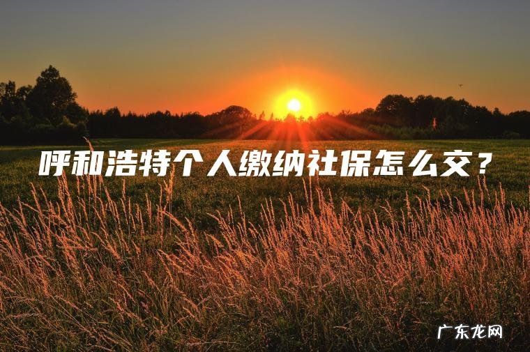 呼和浩特个人缴纳社保怎么交？